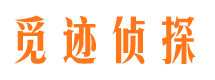 友谊市场调查